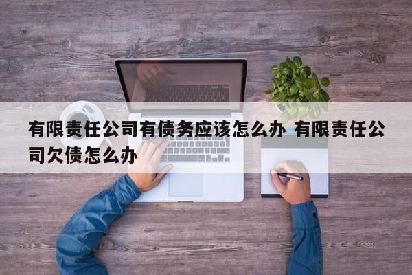 有限责任公司有债务应该怎么办 有限责任公司欠债怎么办