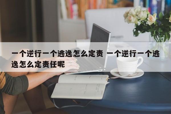 一个逆行一个逃逸怎么定责 一个逆行一个逃逸怎么定责任呢