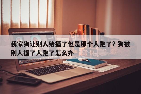 我家狗让别人给撞了但是那个人跑了? 狗被别人撞了人跑了怎么办