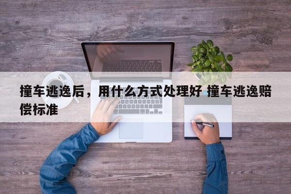 撞车逃逸后，用什么方式处理好 撞车逃逸赔偿标准