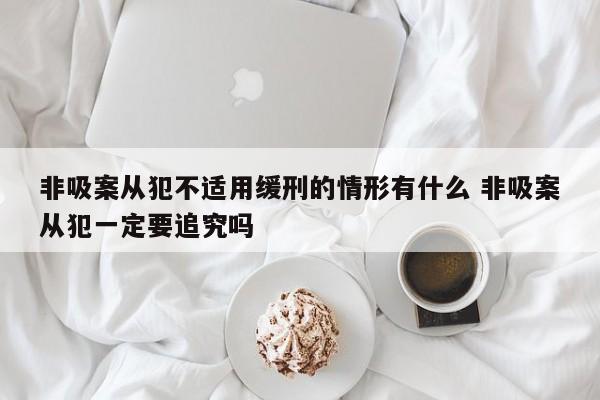 非吸案从犯不适用缓刑的情形有什么 非吸案从犯一定要追究吗