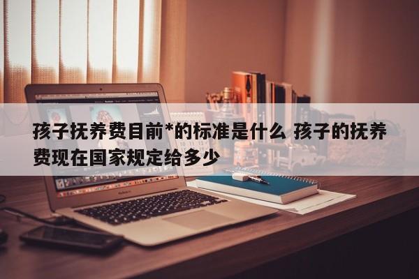 孩子抚养费目前*的标准是什么 孩子的抚养费现在国家规定给多少