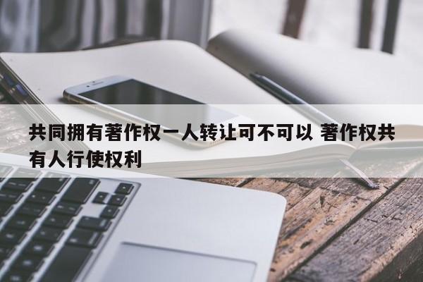 共同拥有著作权一人转让可不可以 著作权共有人行使权利