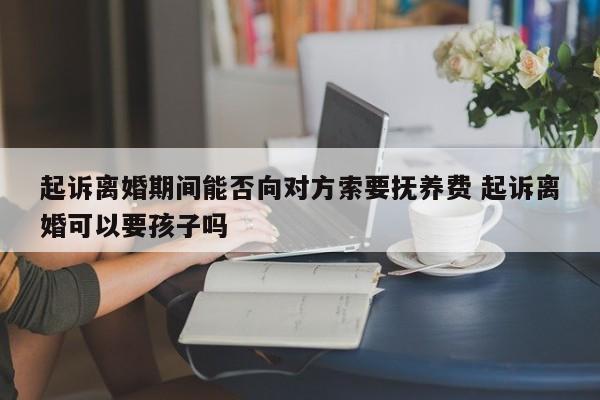 起诉离婚期间能否向对方索要抚养费 起诉离婚可以要孩子吗