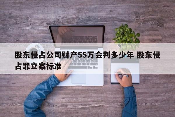 股东侵占公司财产55万会判多少年 股东侵占罪立案标准