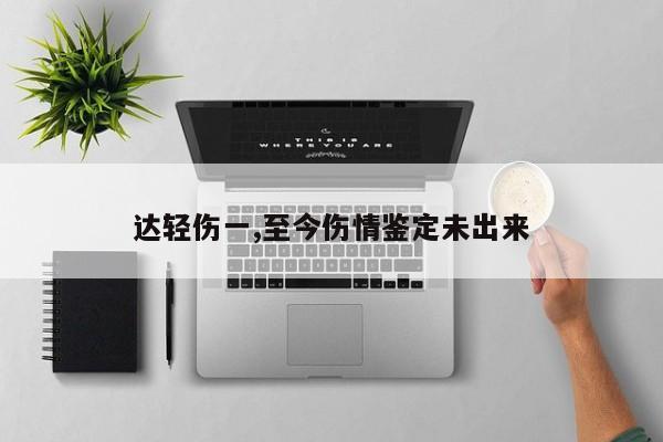 达轻伤一,至今伤情鉴定未出来