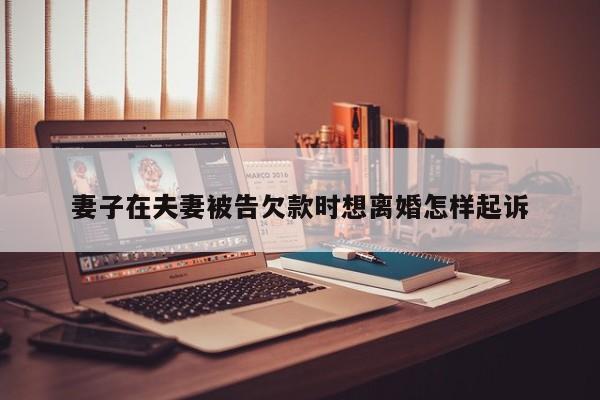 妻子在夫妻被告欠款时想离婚怎样起诉