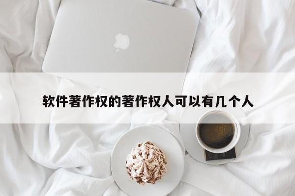 软件著作权的著作权人可以有几个人