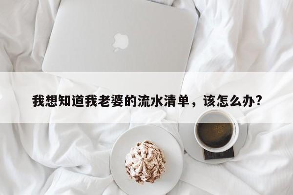 我想知道我老婆的流水清单，该怎么办?