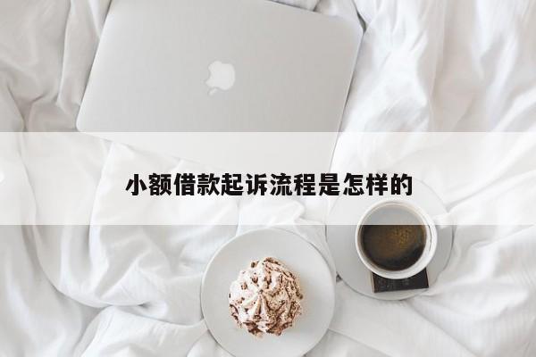 小额借款起诉流程是怎样的