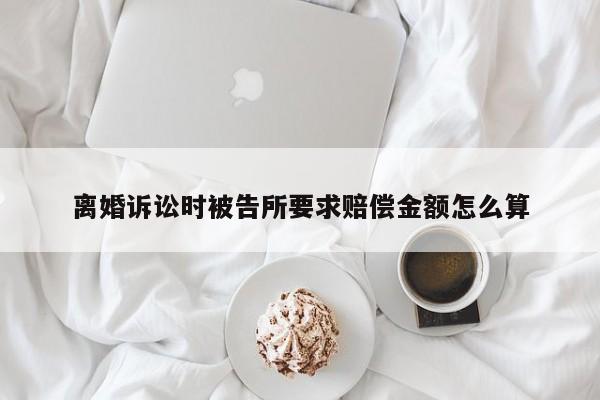 离婚诉讼时被告所要求赔偿金额怎么算
