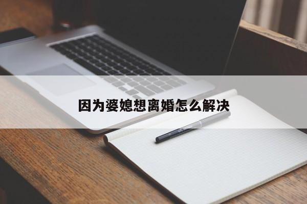 因为婆媳想离婚怎么解决