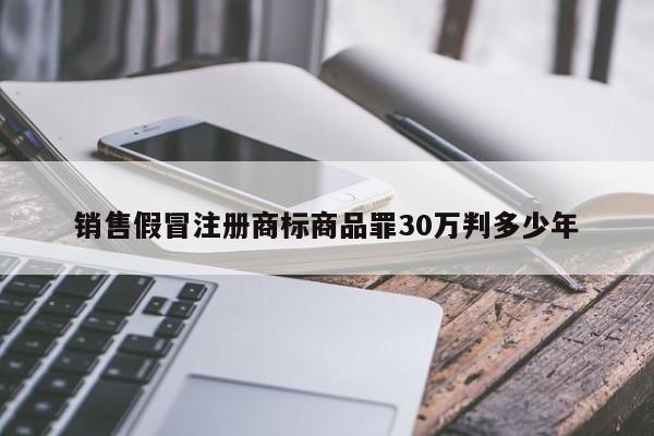 销售假冒注册商标商品罪30万判多少年
