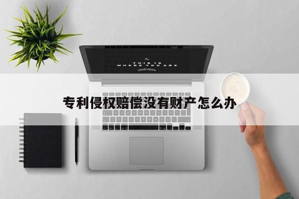 专利侵权赔偿没有财产怎么办