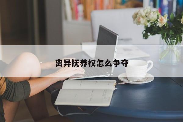 离异抚养权怎么争夺
