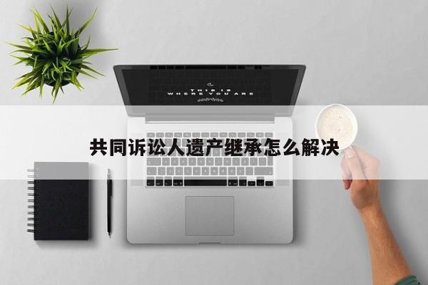 共同诉讼人遗产继承怎么解决
