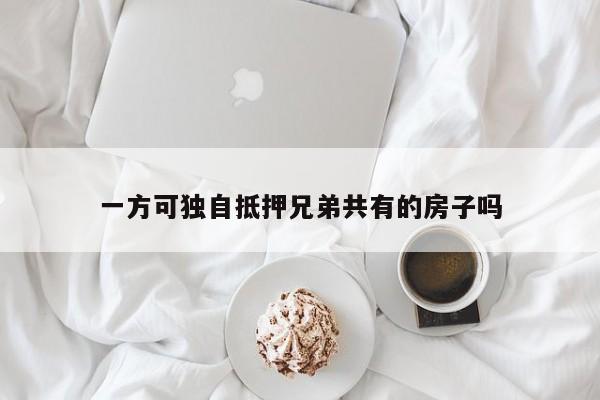 一方可独自抵押兄弟共有的房子吗