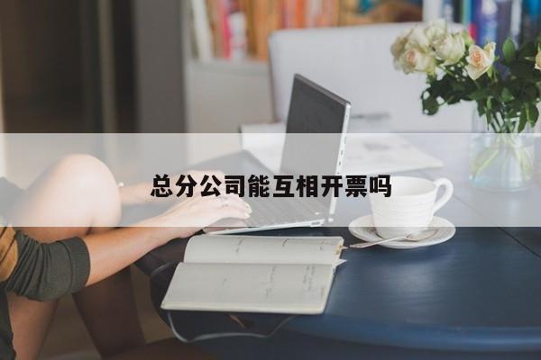 总分公司能互相开票吗