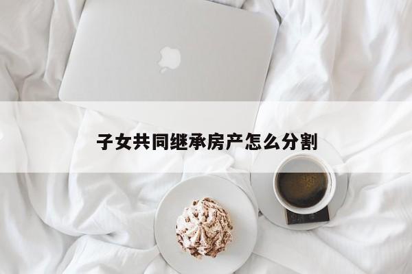 子女共同继承房产怎么分割