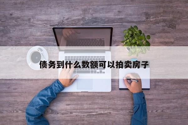 债务到什么数额可以拍卖房子