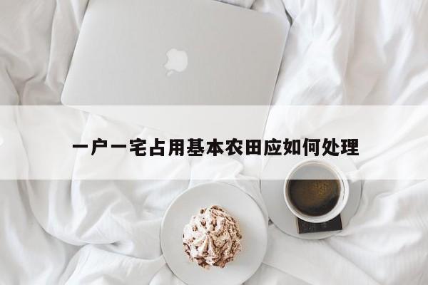 一户一宅占用基本农田应如何处理