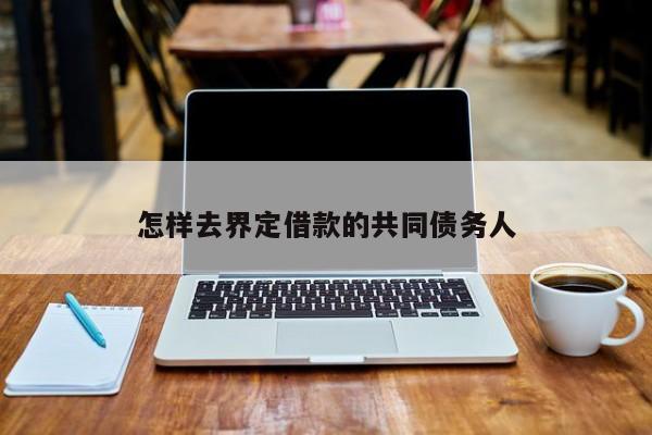 怎样去界定借款的共同债务人