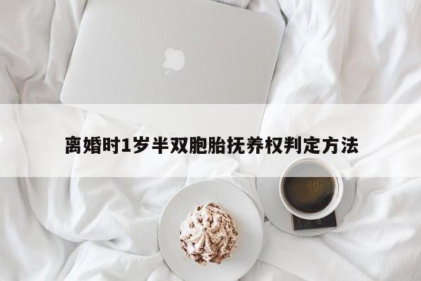 离婚时1岁半双胞胎抚养权判定方法