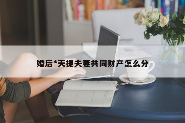 婚后*天提夫妻共同财产怎么分