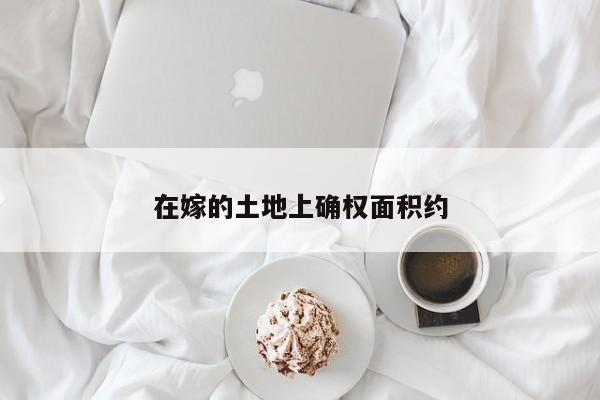 在嫁的土地上确权面积约