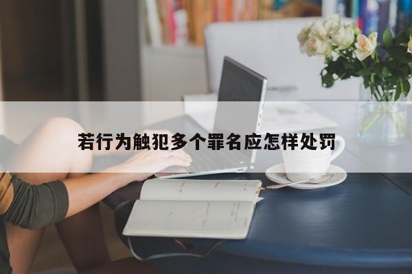 若行为触犯多个罪名应怎样处罚