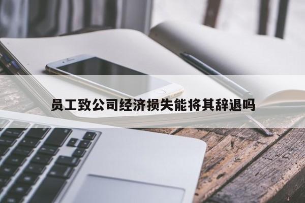 员工致公司经济损失能将其辞退吗