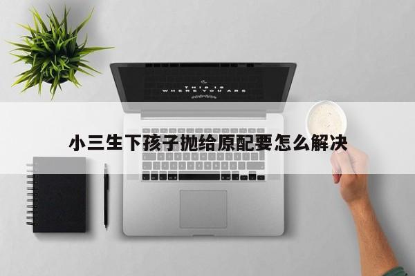 小三生下孩子抛给原配要怎么解决