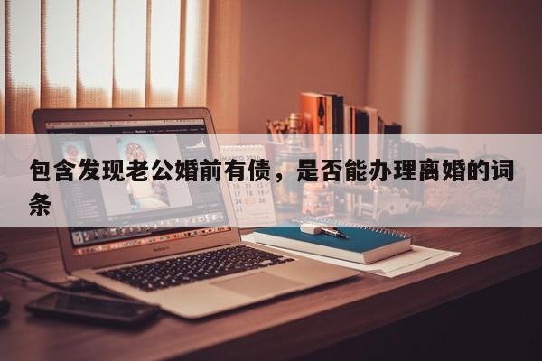 包含发现老公婚前有债，是否能办理离婚的词条