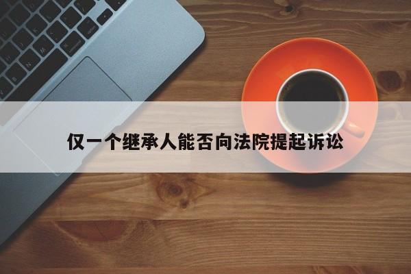 仅一个继承人能否向法院提起诉讼